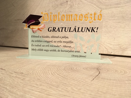 Egyedi plexi