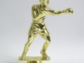 Box figura F 462